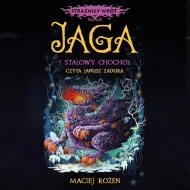 Jaga i stalowy chochoł - audiobook