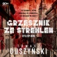 Grzesznik ze Strehlen - audiobook mp3
