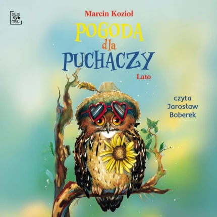 Pogoda dla puchaczy: Lato - audiobook mp3
