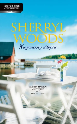 Niegrzeczny chłopiec ebook pdf, mobi, epub
