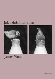 Jak działa literatura