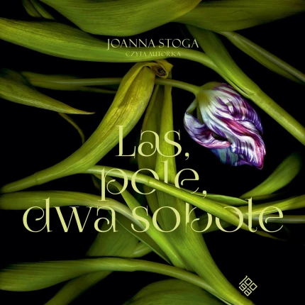 Las, pole, dwa sobole - audiobook mp3
