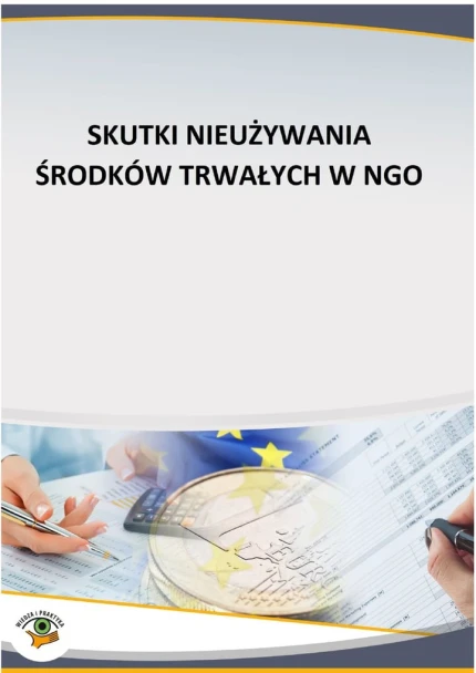 Skutki nieużywania środków trwałych w NGO ebook pdf, mobi, epub