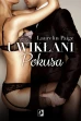 Pokusa ebook pdf, mobi, epub