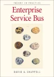Enterprise Service Bus. Theory in Practice ebook pdf, mobi, epub